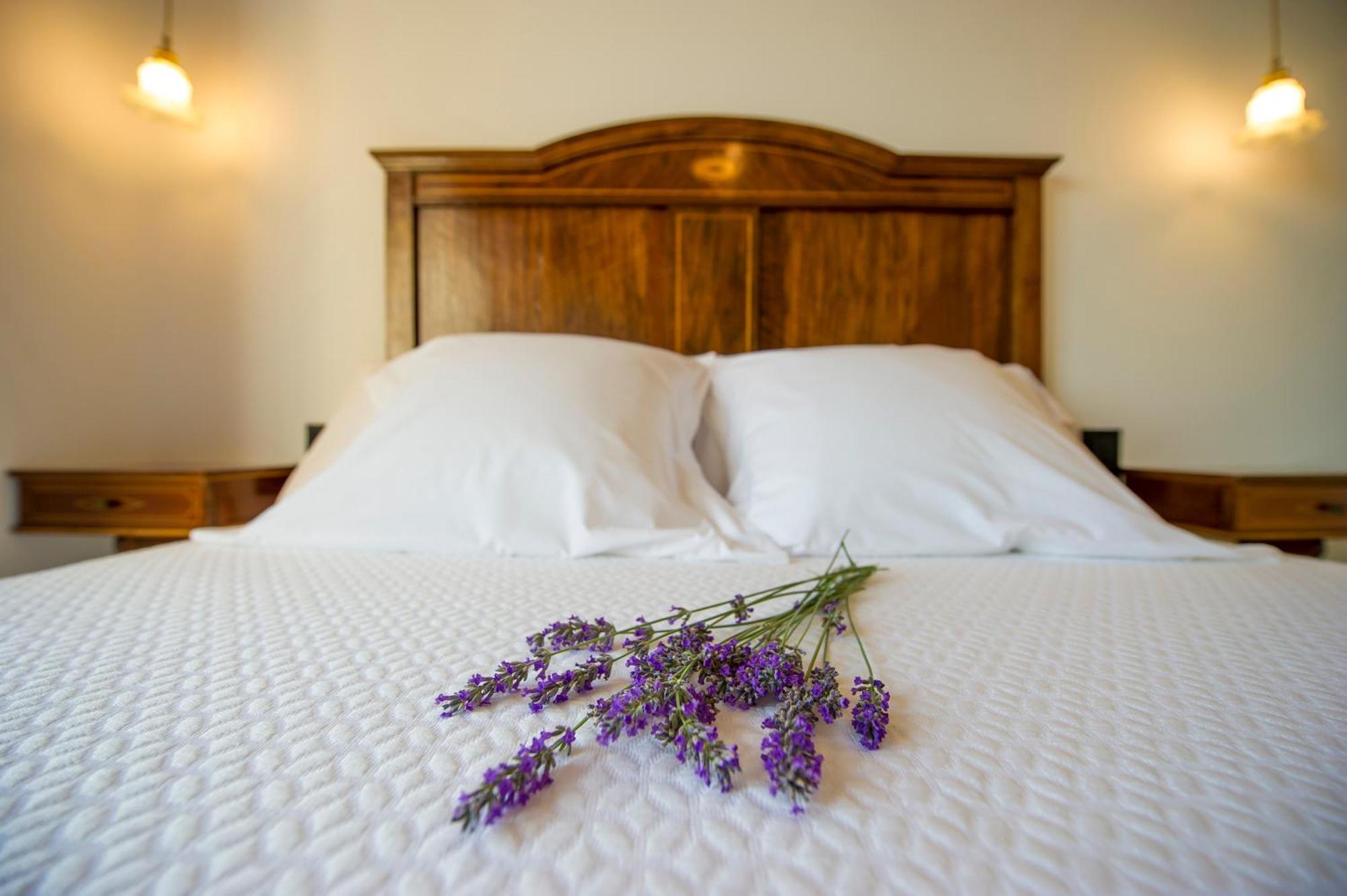 Bolet Casa Modernista Bed & Breakfast Castellvi de la Marca ภายนอก รูปภาพ