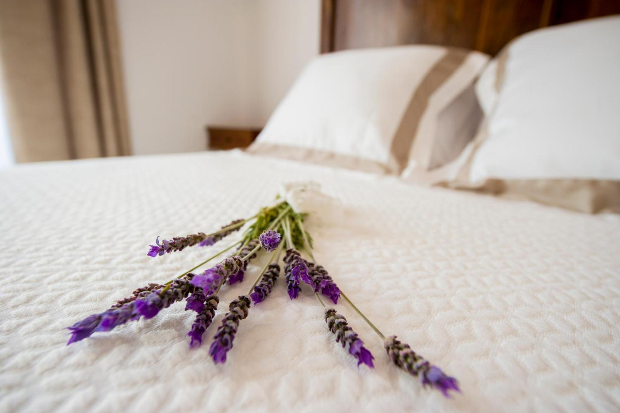 Bolet Casa Modernista Bed & Breakfast Castellvi de la Marca ภายนอก รูปภาพ